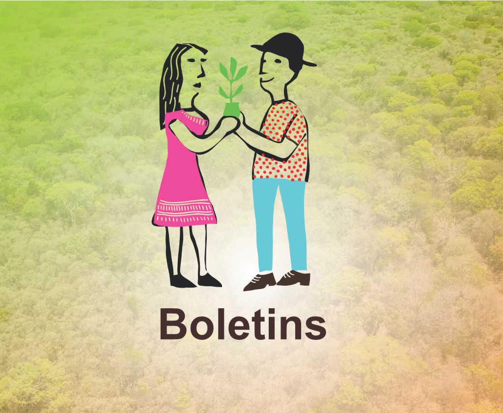 Boletim Recaatingamento