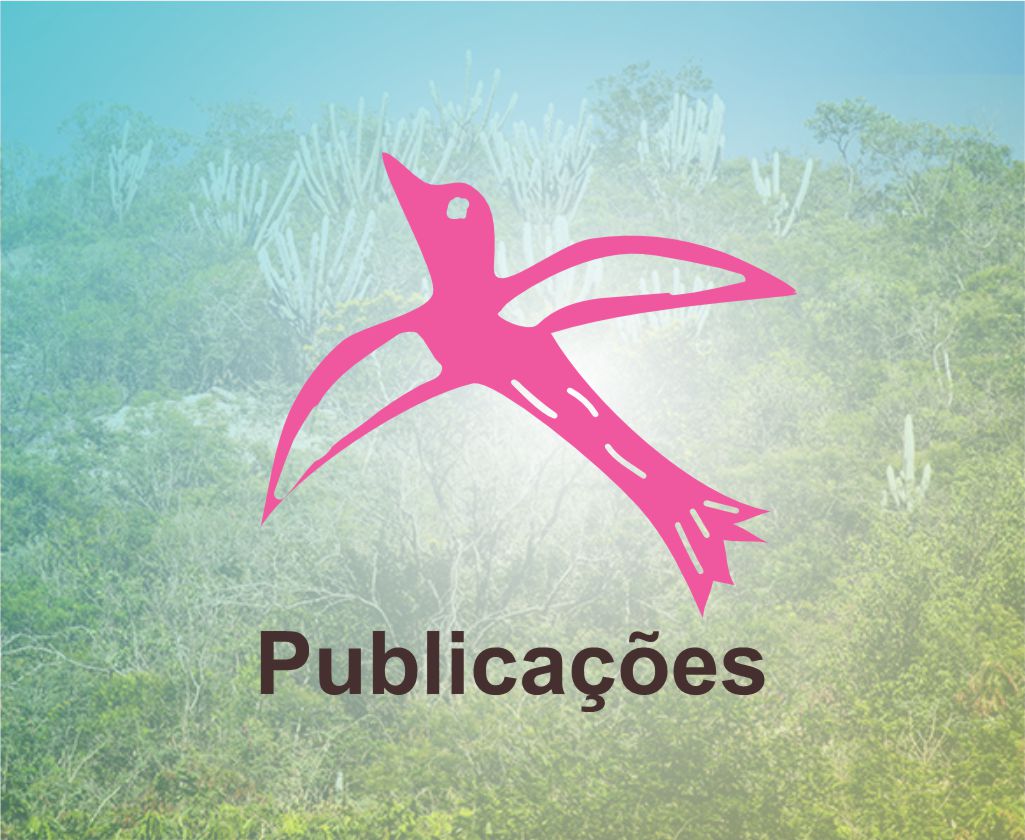 Publicações